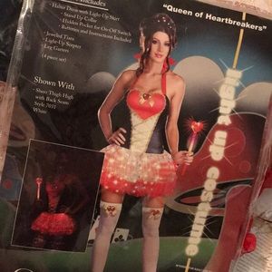 Queen of Heartbreakers Costume ❤️